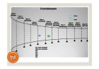 119_pipeline